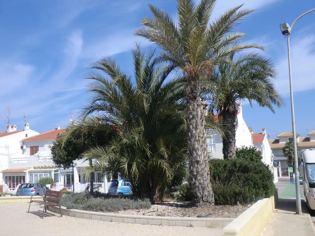 Casas Holiday - Playa La Mata 1 Торевиеха Екстериор снимка